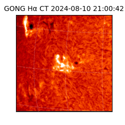 gong - 2024-08-10T21:00:42