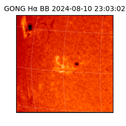 gong - 2024-08-10T23:03:02