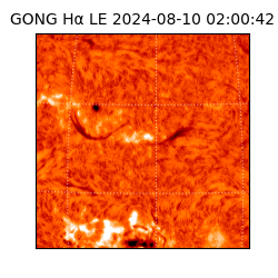 gong - 2024-08-10T02:00:42