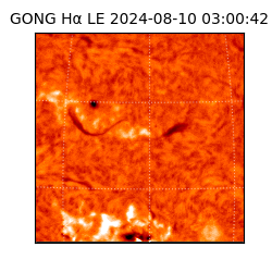 gong - 2024-08-10T03:00:42