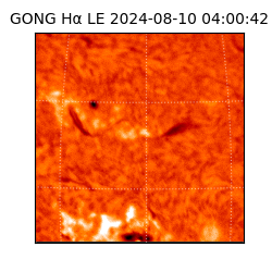 gong - 2024-08-10T04:00:42