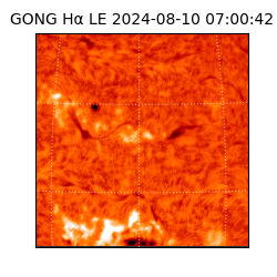 gong - 2024-08-10T07:00:42