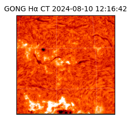 gong - 2024-08-10T12:16:42