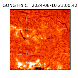 gong - 2024-08-10T21:00:42
