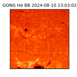 gong - 2024-08-10T23:03:02