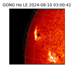 gong - 2024-08-10T03:00:42
