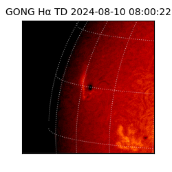 gong - 2024-08-10T08:00:22