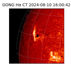 gong - 2024-08-10T16:00:42