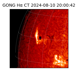 gong - 2024-08-10T20:00:42