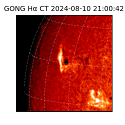gong - 2024-08-10T21:00:42