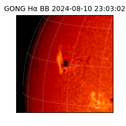gong - 2024-08-10T23:03:02