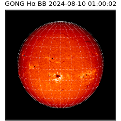 gong - 2024-08-10T01:00:02