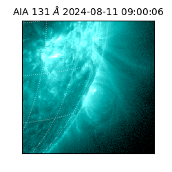 saia - 2024-08-11T09:00:06.623000