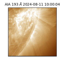 saia - 2024-08-11T10:00:04.846000