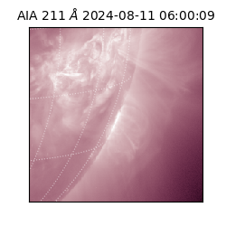 saia - 2024-08-11T06:00:09.626000