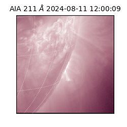saia - 2024-08-11T12:00:09.626000