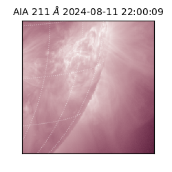 saia - 2024-08-11T22:00:09.630000