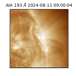 saia - 2024-08-11T09:00:04.843000