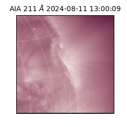 saia - 2024-08-11T13:00:09.623000
