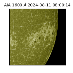 saia - 2024-08-11T08:00:14.126000