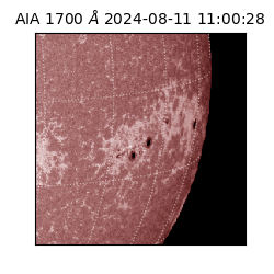 saia - 2024-08-11T11:00:28.718000