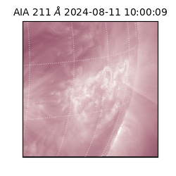 saia - 2024-08-11T10:00:09.626000