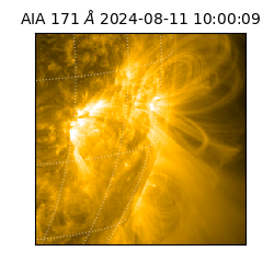 saia - 2024-08-11T10:00:09.350000