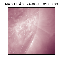 saia - 2024-08-11T09:00:09.630000