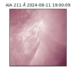 saia - 2024-08-11T19:00:09.630000