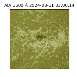 saia - 2024-08-11T03:00:14.126000