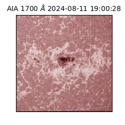 saia - 2024-08-11T19:00:28.720000