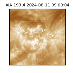saia - 2024-08-11T09:00:04.843000
