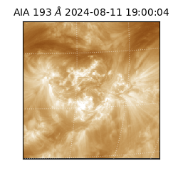 saia - 2024-08-11T19:00:04.843000