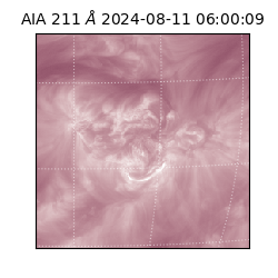 saia - 2024-08-11T06:00:09.626000