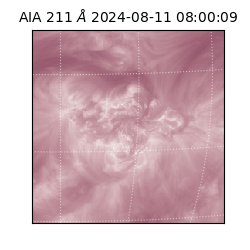 saia - 2024-08-11T08:00:09.626000