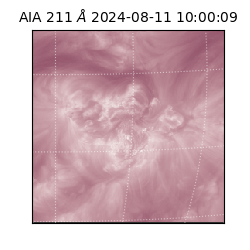 saia - 2024-08-11T10:00:09.626000