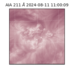 saia - 2024-08-11T11:00:09.624000