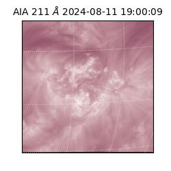 saia - 2024-08-11T19:00:09.630000