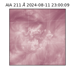 saia - 2024-08-11T23:00:09.626000