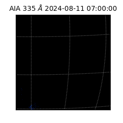 saia - 2024-08-11T07:00:00.625000