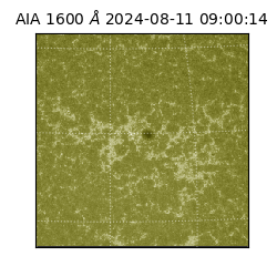 saia - 2024-08-11T09:00:14.129000