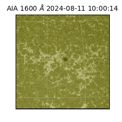 saia - 2024-08-11T10:00:14.126000