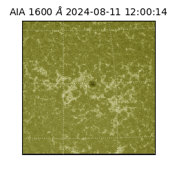 saia - 2024-08-11T12:00:14.130000