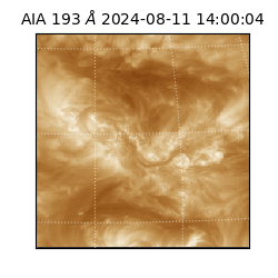 saia - 2024-08-11T14:00:04.842000