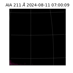 saia - 2024-08-11T07:00:09.626000