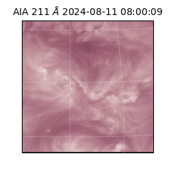 saia - 2024-08-11T08:00:09.626000
