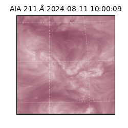 saia - 2024-08-11T10:00:09.626000
