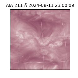 saia - 2024-08-11T23:00:09.626000
