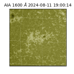 saia - 2024-08-11T19:00:14.126000