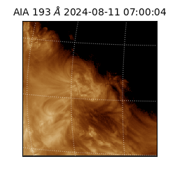 saia - 2024-08-11T07:00:04.843000